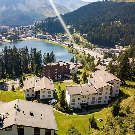 Rehwiesa B24 By Αρόζα